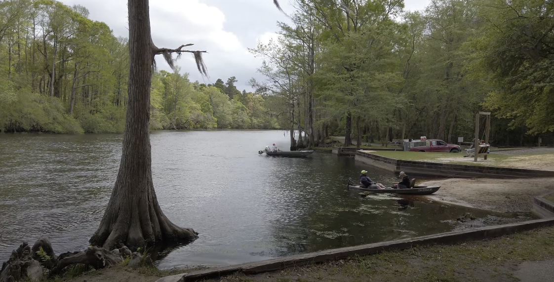 River with trees on the side and people kayaking